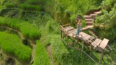 Bali adasındaki Ubud köyündeki ünlü Tegalalang Rice Teraslarını ziyaret eden mavi elbiseli güzel bir genç kadının hava fotoğrafı.
