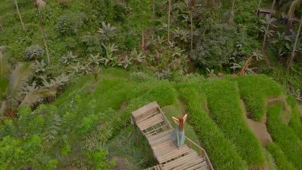 푸른 옷을 입고 발리 섬 우버 드 마을 의유 명 한 계단식논 을방 문하는 아름다운 젊은 여자의 공중 촬영 — 비디오
