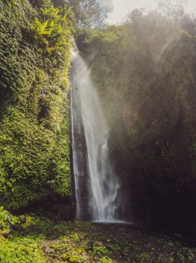 bali, fiji şelalesi sekumbul şelalelerinden, Endonezya, Asya