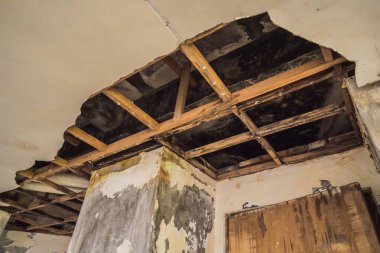 Bedugul 'da terk edilmiş ve gizemli bir otel. Endonezya, Bali Adası