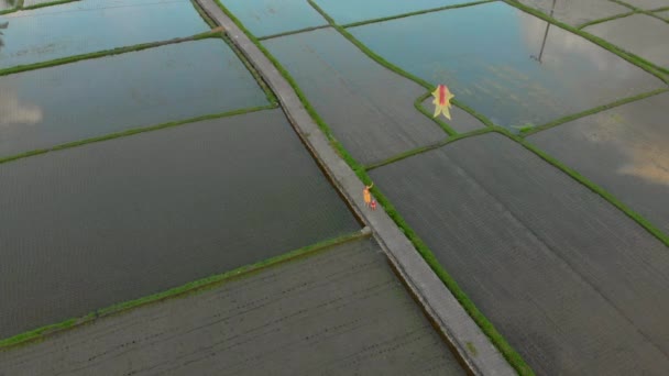 Foto aérea de una joven y su pequeño hijo jugando con una cometa amarilla en un hermoso campo — Vídeo de stock