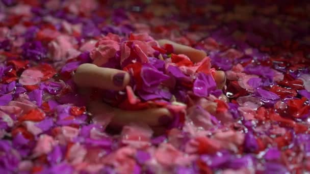 Медленный снимок красивой молодой женщины, принимающей цветочную ванну в тропическом спа — стоковое видео