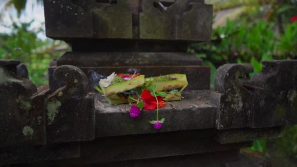 Lassan mozgó közelkép balinéz áldozatokról az isteneknek a helyi templomban. Balinéz hagyományok. Balinéz hinduizmus — Stock videók