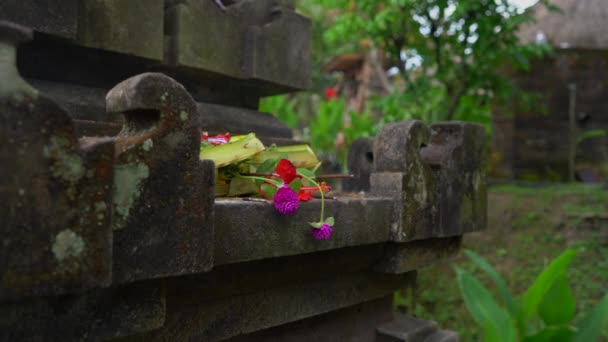 Närbild skott av balinesiska erbjudanden till gudarna i det lokala templet. Balinesiska traditioner. Balinesisk hinduism — Stockvideo