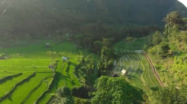 Gün batımında dağlardaki muhteşem pirinç teraslarının havadan çekilmiş görüntüleri.