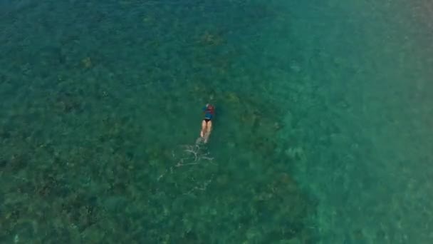 Повітряний знімок жінки снорк в красивому бірюзовому морі — стокове відео