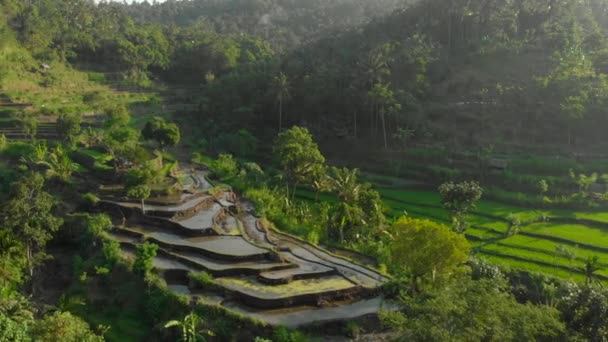 Tiro aéreo dos maravilhosos teraces de arroz nas montanhas durante o pôr do sol — Vídeo de Stock