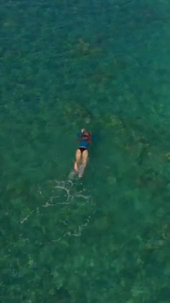Video verticale. Foto aerea di una donna che fa snorkeling in un bellissimo mare turchese — Video Stock