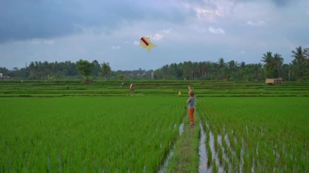 Slowmotion shot of a little boy with a kite walking through a big beautiful rice field — Stock Video