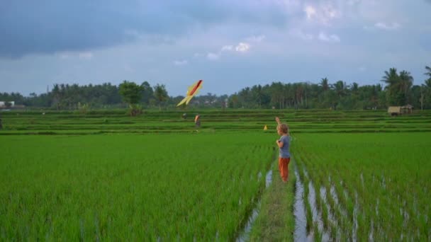 Langzame opname van een kleine jongen met een vlieger lopend door een groot mooi rijstveld — Stockvideo