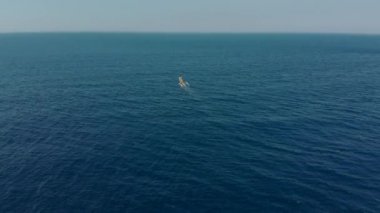 Geleneksel balıkçı teknelerinin Bali adasına yakın açık denizde çekilmiş fotoğrafları.
