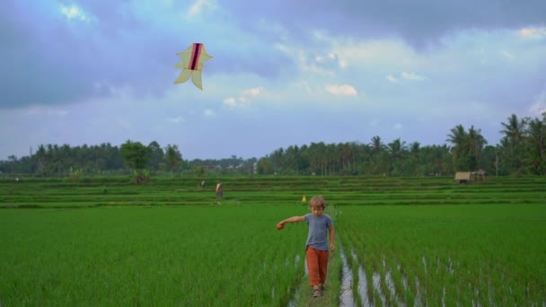 一个小男孩带着风筝在一个美丽的稻田里漫步时的慢镜头 — 图库视频影像