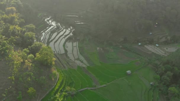 Vue aérienne des merveilleuses terrasses de riz en montagne au coucher du soleil 