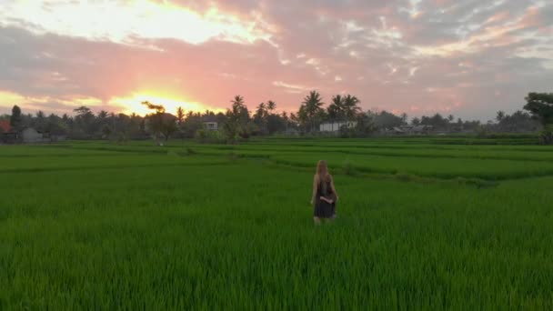 Aerial shot of a happy family tourists meeting the sunset on a marvelous rice field. Travel to Asia concept. Travel to Bali concept — Stock Video