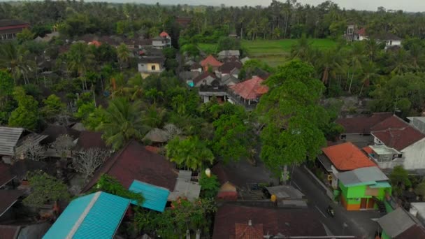 Sculpture en pierre d'Arjuna sur une croix de route dans la ville d'Ubud, île de Bali, Indonésie. Arjuna est un héros de l'ancienne épopée indienne Mahabharata — Video