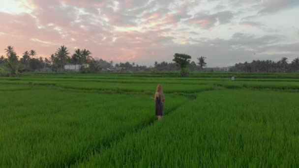 Аэросъемка счастливых семейных туристов, встречающих закат на чудесном рисовом поле. Путешествие в Азию. Концепция путешествия на Бали — стоковое видео