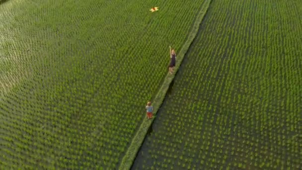 Tiro aéreo de uma família em um belo campo de arroz grande com seu papagaio. Viagem para a Ásia conceito — Vídeo de Stock