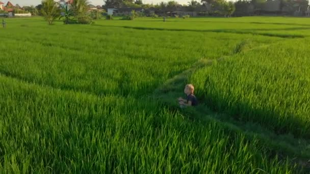 Tiro aéreo de um menino meditando em um maravilhoso campo de arroz durante o nascer-do-sol — Vídeo de Stock