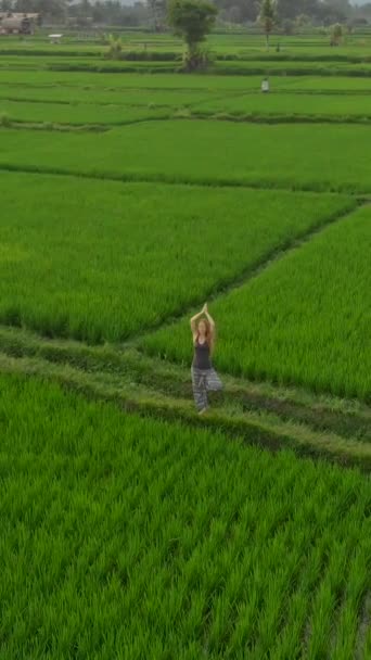 垂直ビデオ。日の出と日没の間に素晴らしい田んぼで瞑想する女性の空中ショット — ストック動画