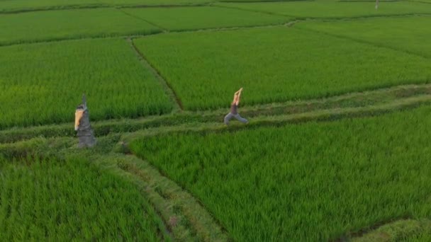 Gün batımında muhteşem bir pirinç tarlasında yoga yapan bir kadının havadan çekilmiş fotoğrafı. — Stok video