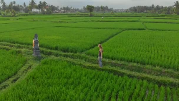 Gün batımında muhteşem bir pirinç tarlasında yoga yapan bir kadının havadan çekilmiş fotoğrafı. — Stok video
