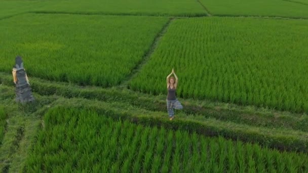 Gün batımında muhteşem bir pirinç tarlasında yoga yapan bir kadının havadan çekilmiş fotoğrafı. — Stok video