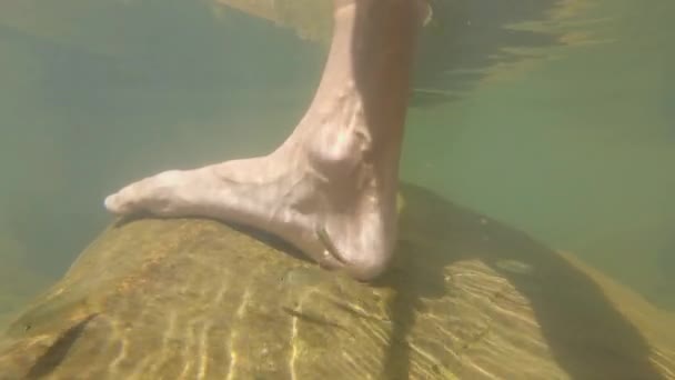 Los peces pelan la piel de una persona en un río tropical . — Vídeos de Stock