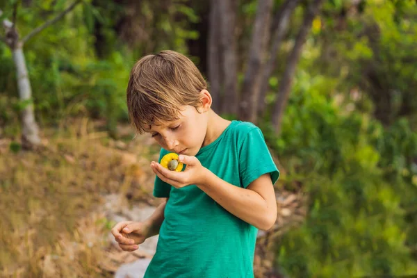 Çocuk kaju fıstığı meyvesi kokluyor. El hasadı Kaju meyveli kaju elması. — Stok fotoğraf