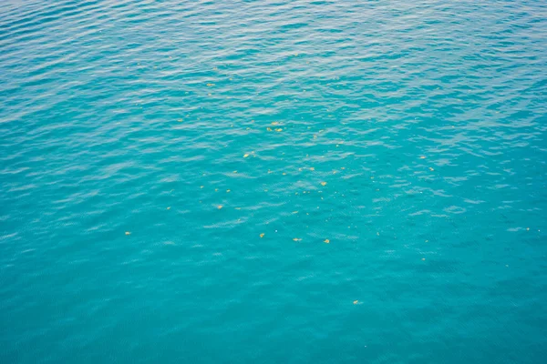 Türkisfarbenes Wasser und Orangenalgen von oben — Stockfoto