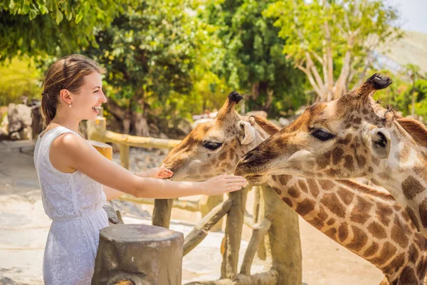 Hayvanat bahçesinde zürafayı seyreden ve besleyen mutlu kadın. Sıcak yaz gününde hayvanlarla safari parkında eğleniyor. — Stok fotoğraf