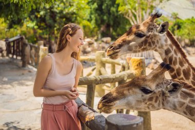 Hayvanat bahçesinde zürafayı seyreden ve besleyen mutlu kadın. Sıcak yaz gününde hayvanlarla safari parkında eğleniyor.