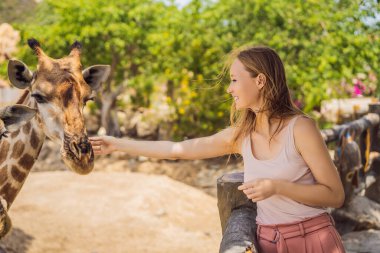 Hayvanat bahçesinde zürafayı seyreden ve besleyen mutlu kadın. Sıcak yaz gününde hayvanlarla safari parkında eğleniyor.
