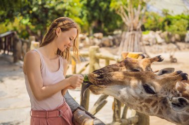 Hayvanat bahçesinde zürafayı seyreden ve besleyen mutlu kadın. Sıcak yaz gününde hayvanlarla safari parkında eğleniyor.