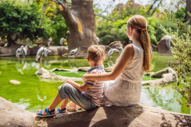 Genç kadın ve oğlu parktaki kuşlara bakıyorlar.