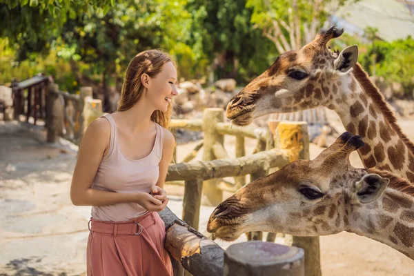 Hayvanat bahçesinde zürafayı seyreden ve besleyen mutlu kadın. Sıcak yaz gününde hayvanlarla safari parkında eğleniyor. — Stok fotoğraf