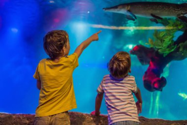 İki genç çocuk akvaryumda manzaranın tadını çıkarıyor.
