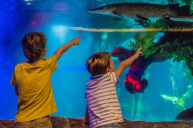 İki genç çocuk akvaryumda manzaranın tadını çıkarıyor.