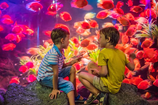 İki genç çocuk akvaryumda manzaranın tadını çıkarıyor. — Stok fotoğraf