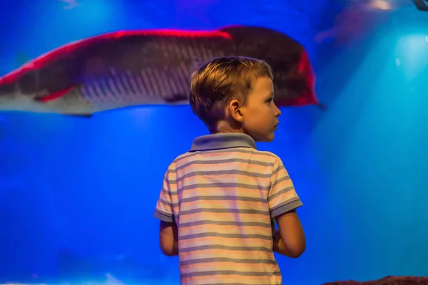 Giovane ragazzo godere la vista in un acquario — Foto Stock