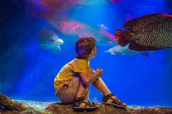 Giovane ragazzo godere la vista in un acquario — Foto Stock