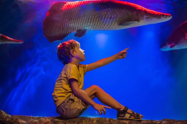 Молодий хлопчик насолоджується видом на акваріум — стокове фото