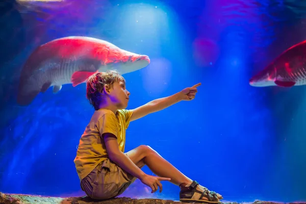 Giovane ragazzo godere la vista in un acquario — Foto Stock