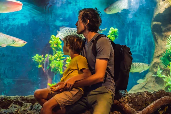 Father and son look at the fish in the aquarium in oceanarium — Stock Photo, Image