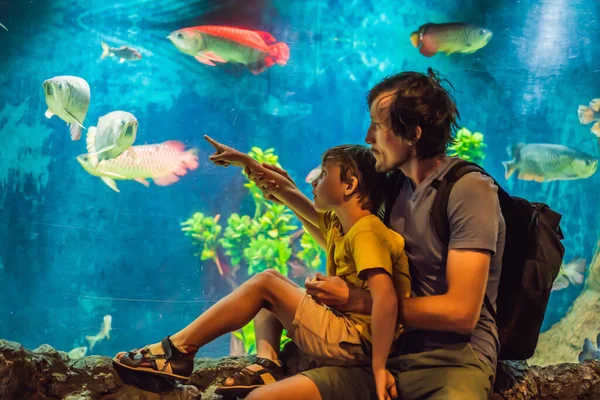 Baba ve oğul okyanustaki akvaryumdaki balıklara bakın. — Stok fotoğraf