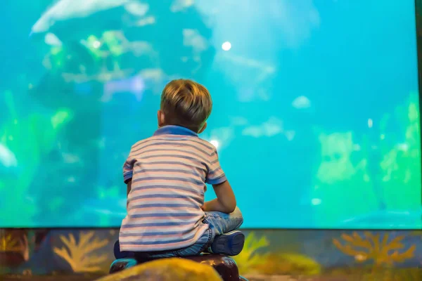 Jeune garçon profiter de la vue dans un aquarium — Photo
