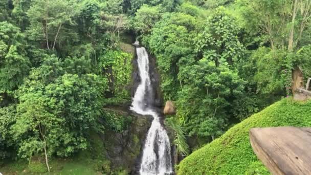 Bela cachoeira na aldeia de Ubud na ilha de Bali. Tiro em um telefone — Vídeo de Stock