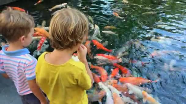 两个小男孩在亚洲寺庙的池塘里喂着五颜六色的神圣鲤鱼.在电话上被枪击 — 图库视频影像