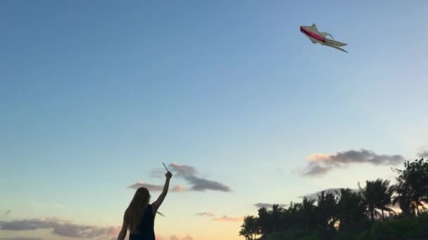 一个年轻的女人和一个风筝在海滨。在电话上被枪击 — 图库视频影像
