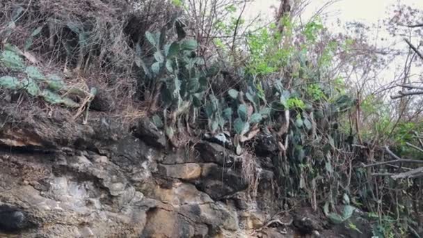 Roches volcaniques noires sur l'île de Bali. Tourné sur un téléphone — Video