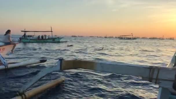 BALI, INDONÉSIA 28.08.2019: Um passeio ao nascer do sol para conhecer golfinhos. Tiro em um telefone — Vídeo de Stock